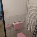 农家乐 Pod Kasztanami