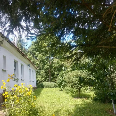 Pod Kasztanami * Blanki