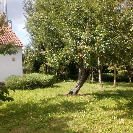 Farm stay Pod Kasztanami