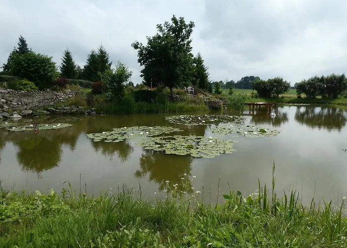 Pod Kasztanami Farm stay *