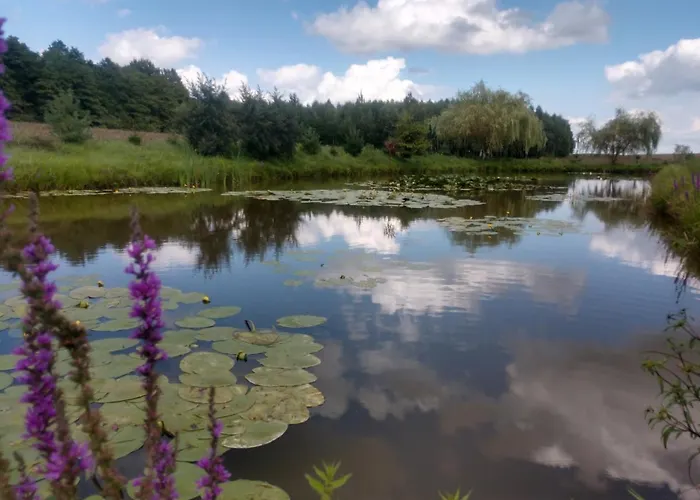 Farm stay Pod Kasztanami