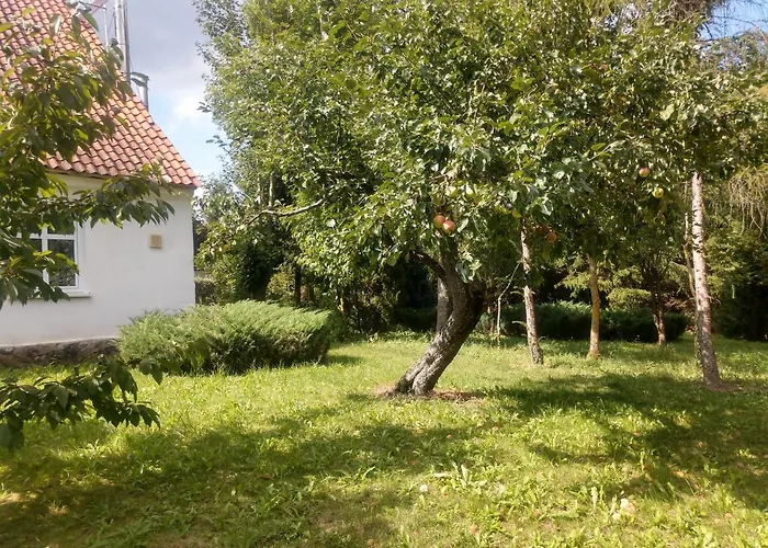 Farm stay Pod Kasztanami